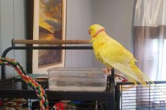 20211001_100052-scaled-e1776353322729