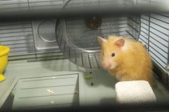 20220506_211104-scaled-e1776353264750