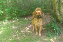 20230721_122224-scaled-e1776353147920