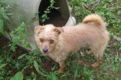 20240806_121717-scaled-e1776352996993