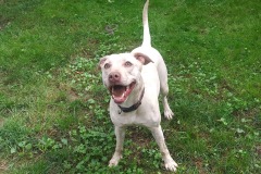 20240806_121729-e1776352660987