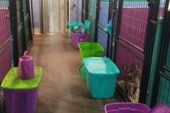 20240826_133619-scaled-e1776352865831