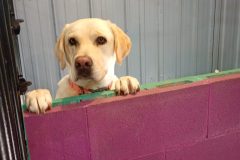 IMG_20260302_091226580_MFNR-scaled-e1776352426319