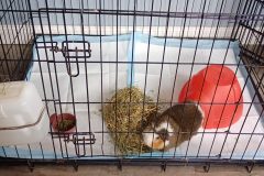 IMG_20260415_121424891_MFNR-scaled-e1776352598765