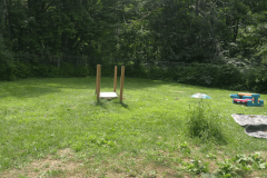exterior-yard-1